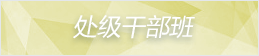 处级干部班